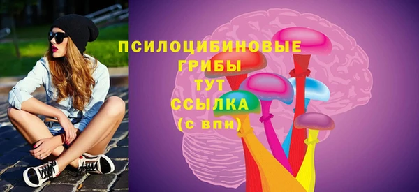 прущая мука Арсеньев