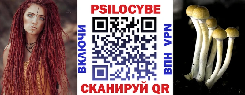 Псилоцибиновые грибы Psilocybine cubensis  нарко площадка клад  Белгород  купить наркоту 